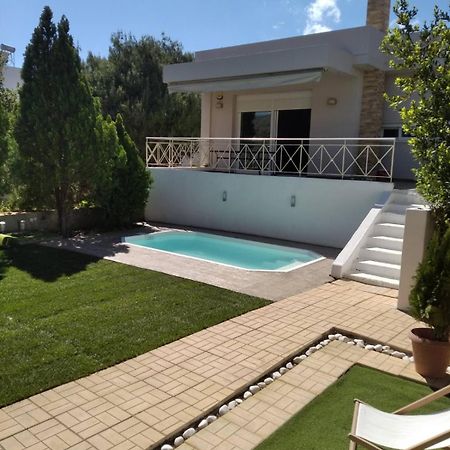 Cozy Villa Vita Lagonisi Kalivia Thorikou Buitenkant foto