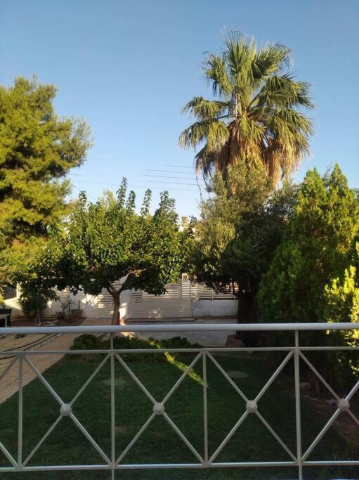 Cozy Villa Vita Lagonisi Kalivia Thorikou Buitenkant foto