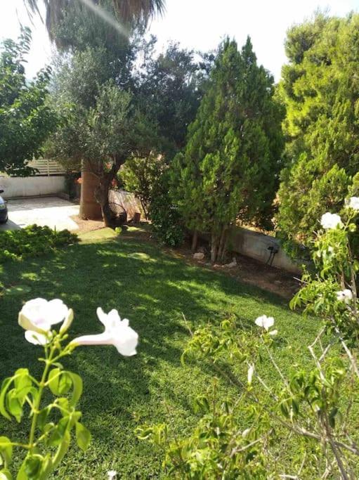 Cozy Villa Vita Lagonisi Kalivia Thorikou Buitenkant foto