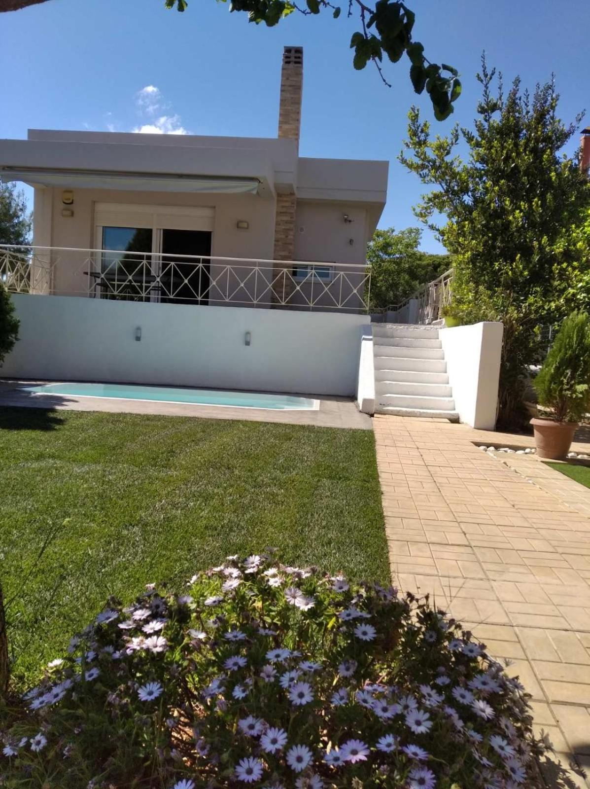 Cozy Villa Vita Lagonisi Kalivia Thorikou Buitenkant foto